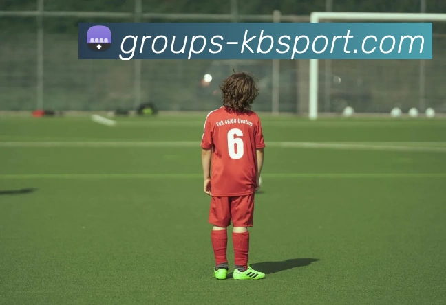 KB体育官网平台生态图